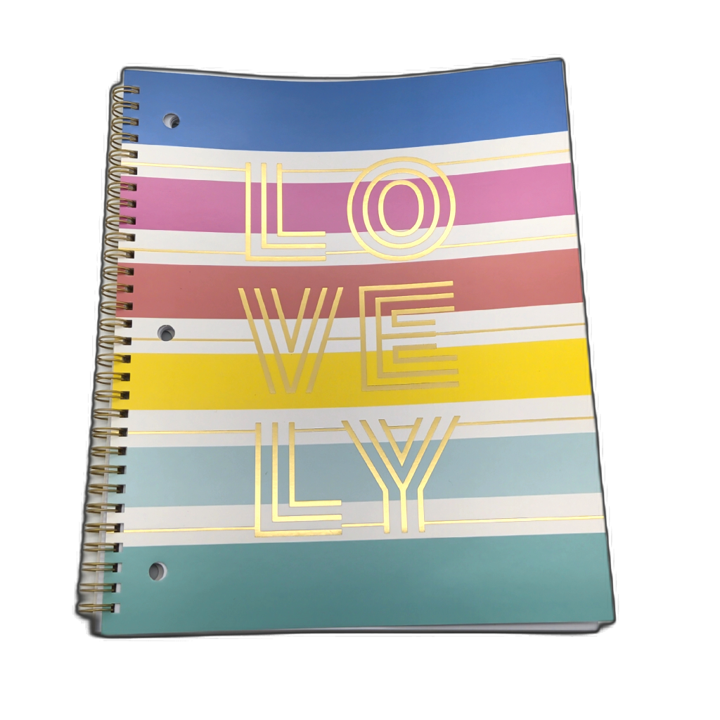 Notebook 10.5" x 8" 80 Sheets Lovely Hilroy