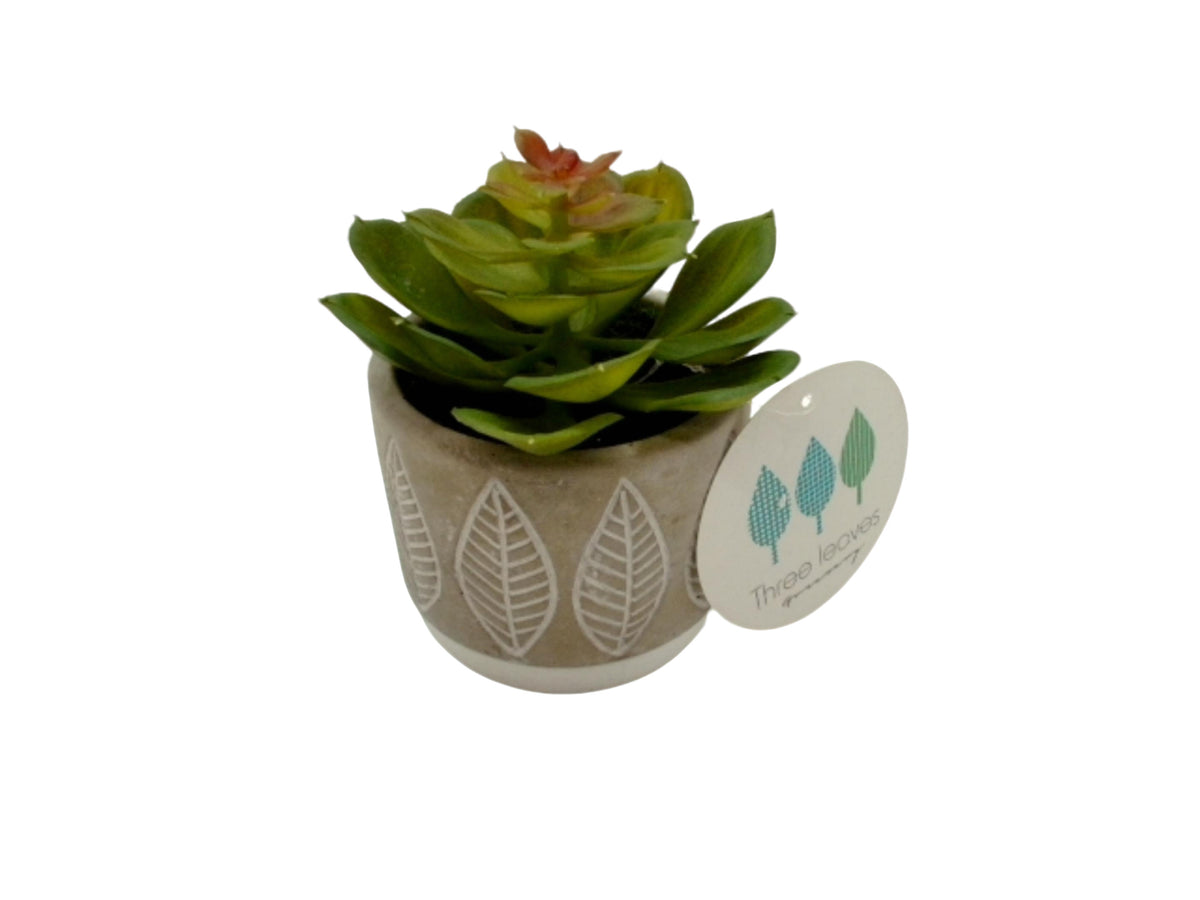 Artificial Succulent Plant 3" x 3" Cement Pot