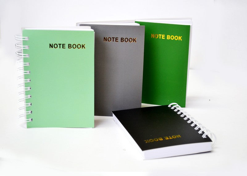 Fat Little Book 300pgs 4"x6" Plain Designs Asst'd