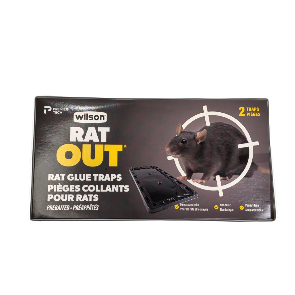 Rat Out Rat Glue Traps 2pk. Wilson