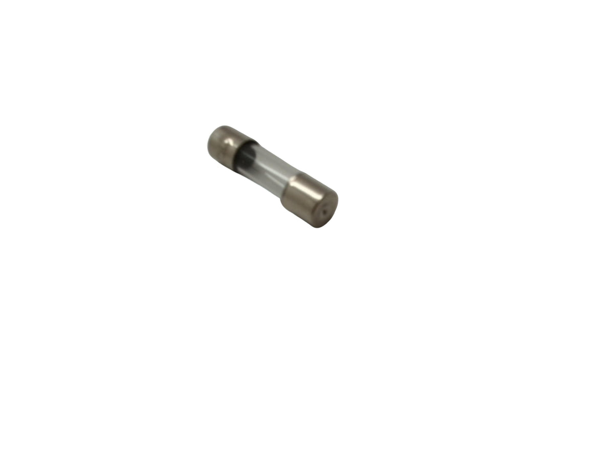 10 Amp European Fuse