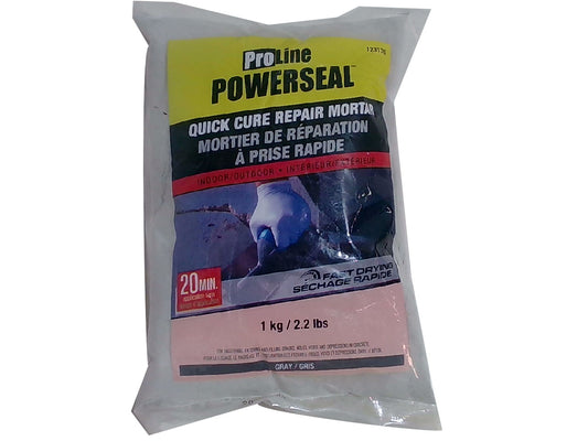 Quick cure repair mortar 1kg 2.2lbs