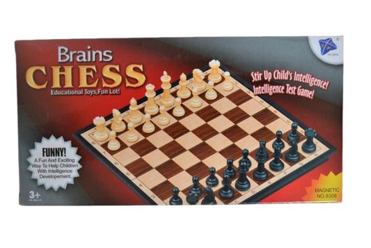 Magnetic Brains Chess Travel Game