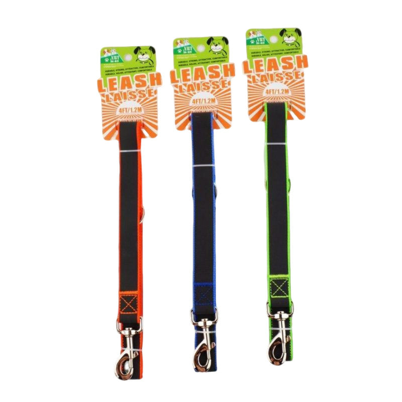 Dog Leash 2.5cm X 4ft Neon Glow In Dark Asst'd Color