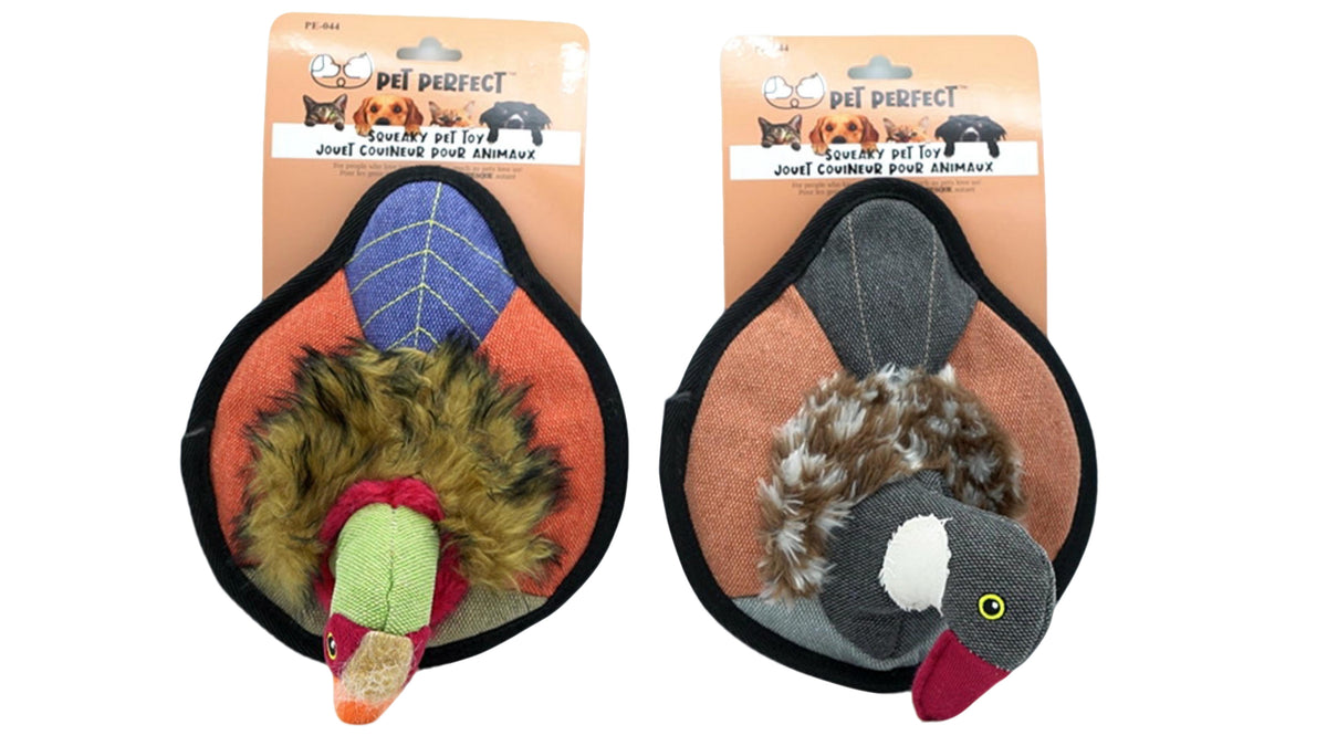 Jouet Couineur Canard Couleurs Assorties Pet Perfect