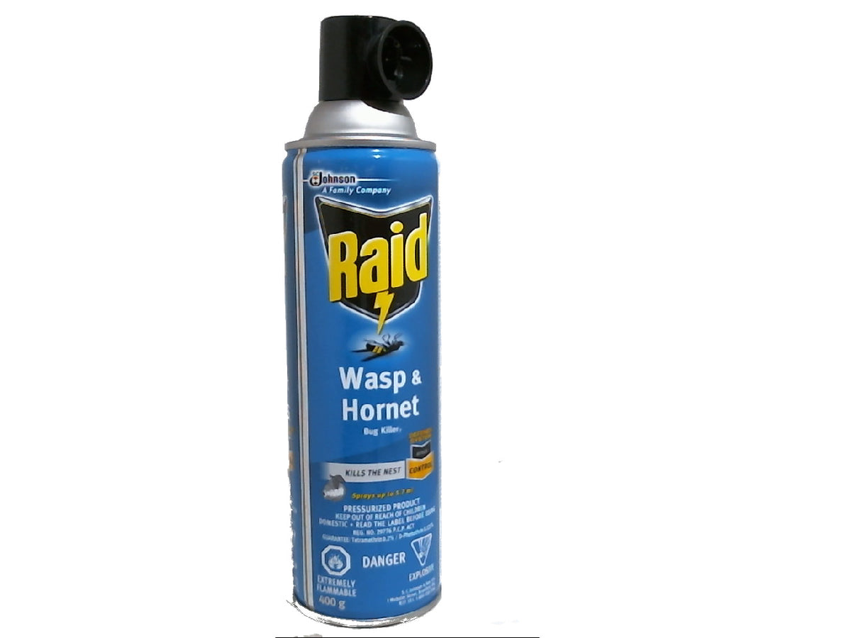 Raid Wasp & Hornet Bug Killer 400g.