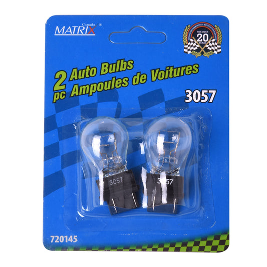 Ampoules automobiles # 3057 2 pièces