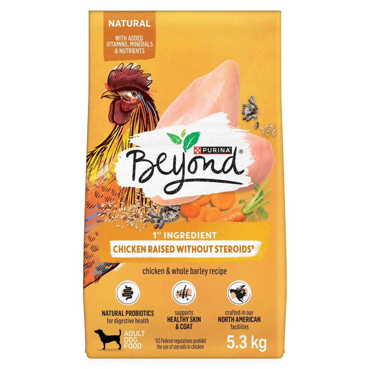 Purina Beyone Dog Food Chicken & Barley 5.3kg.