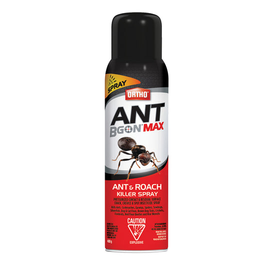 Insecticide anti-fourmis et cafards en vaporisateur 400 g Ant B Gon Max