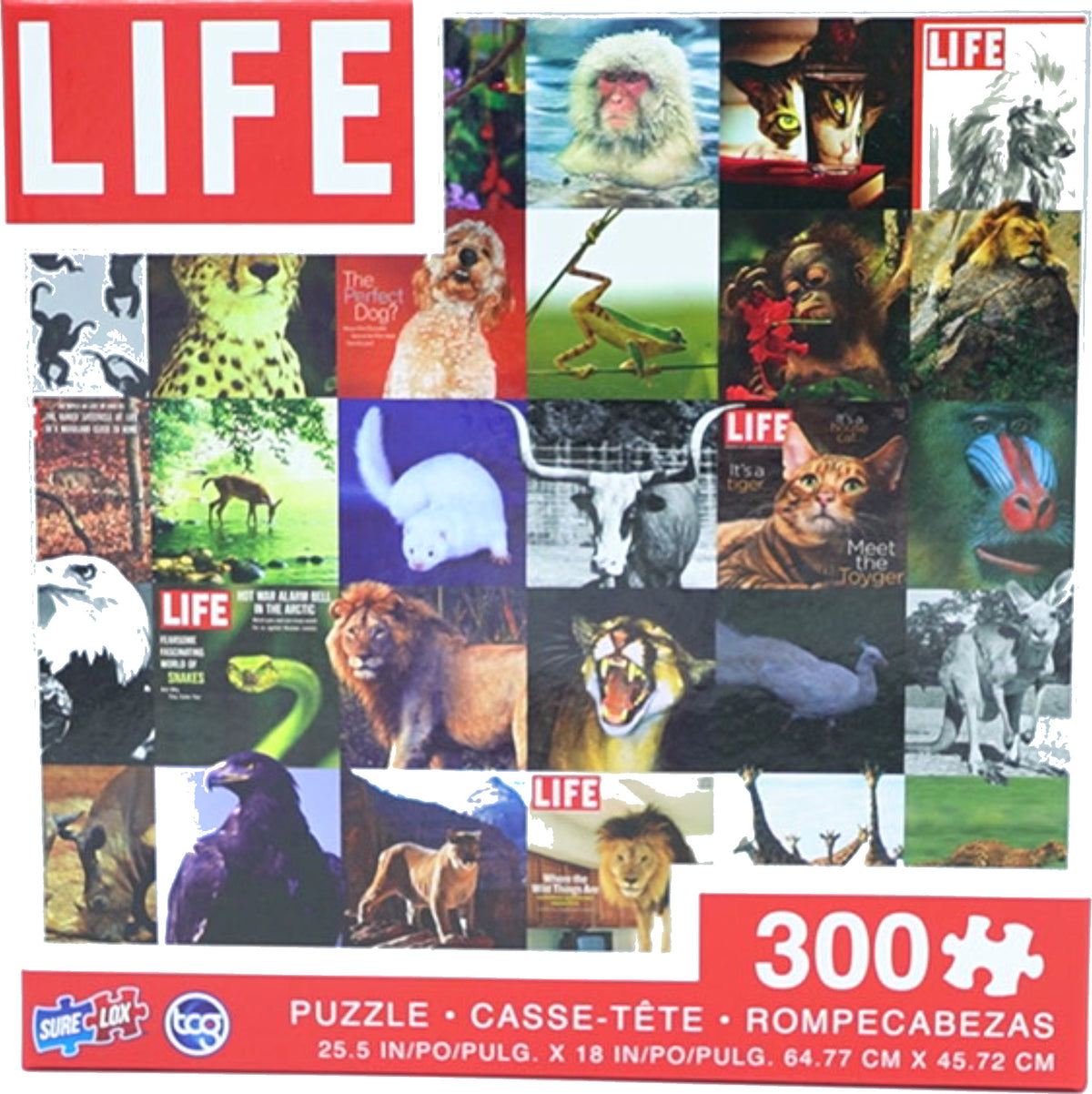 Jigsaw Puzzle 300pc. Life Brand Assorted - Additional View