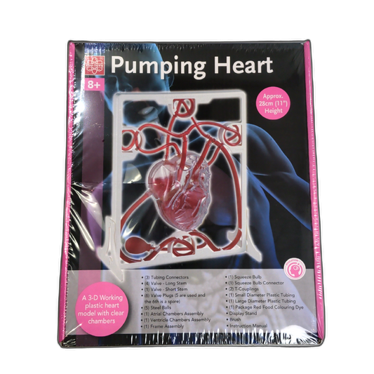 Pumping Heart 11" 3D Working Heart Model w/Clear Chambers Edu-toys