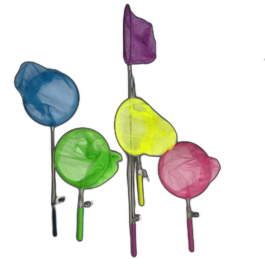 Telescopic Butterfly Net 8" Diam. Extends To 34" Assorted Colours