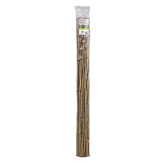 Bamboo Stakes 4' 25pk. Supports Plants & Trees