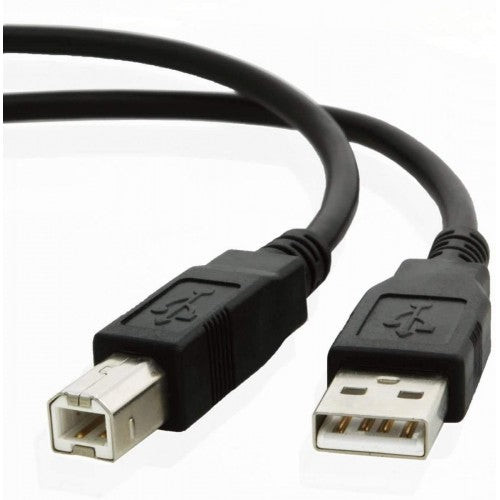 Printer Cable AM-BM 10 Foot USB 2.0