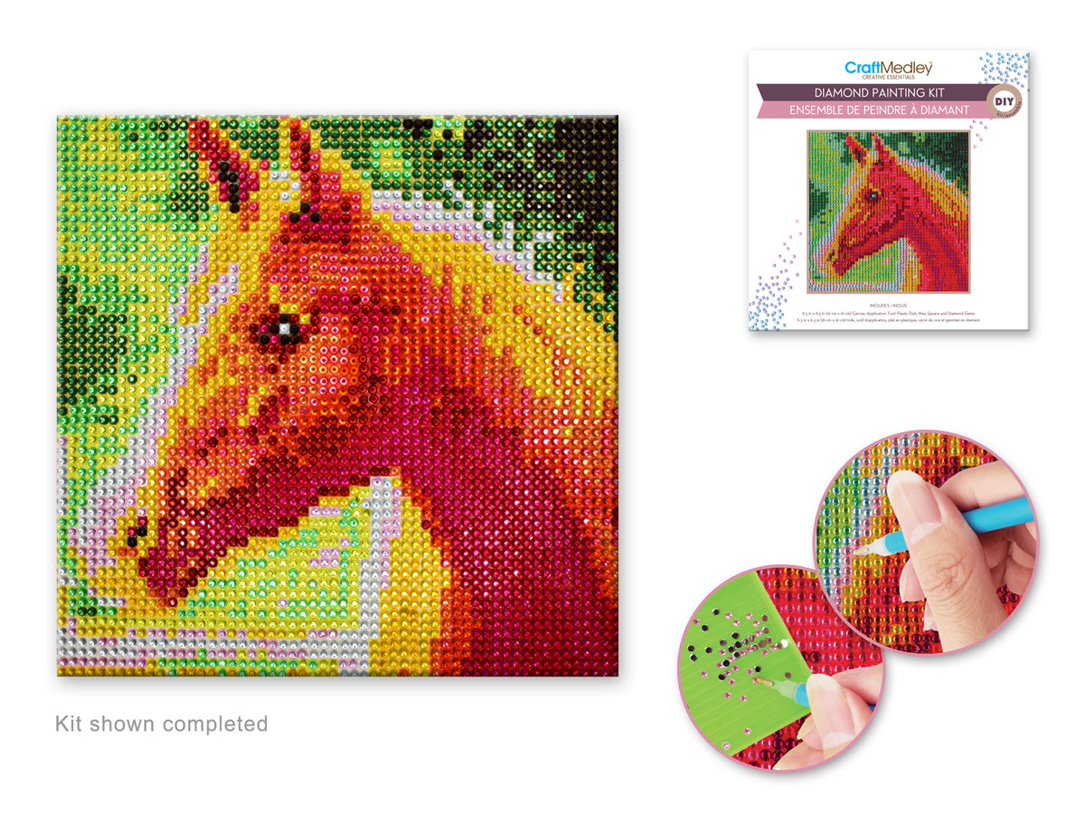 Diamond Painting Kit DIY A) Horse