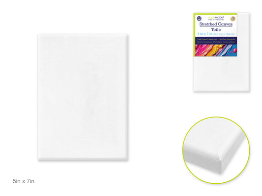 Stretch Artist Canvas Rect. 5"x7" Primed Back-Stapled
