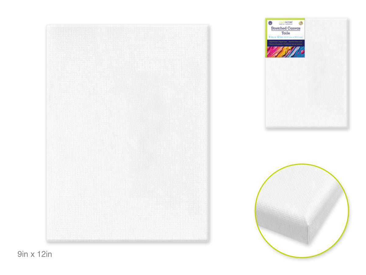 Stretch Artist Canvas 9x 12" Primed Back-Stapled