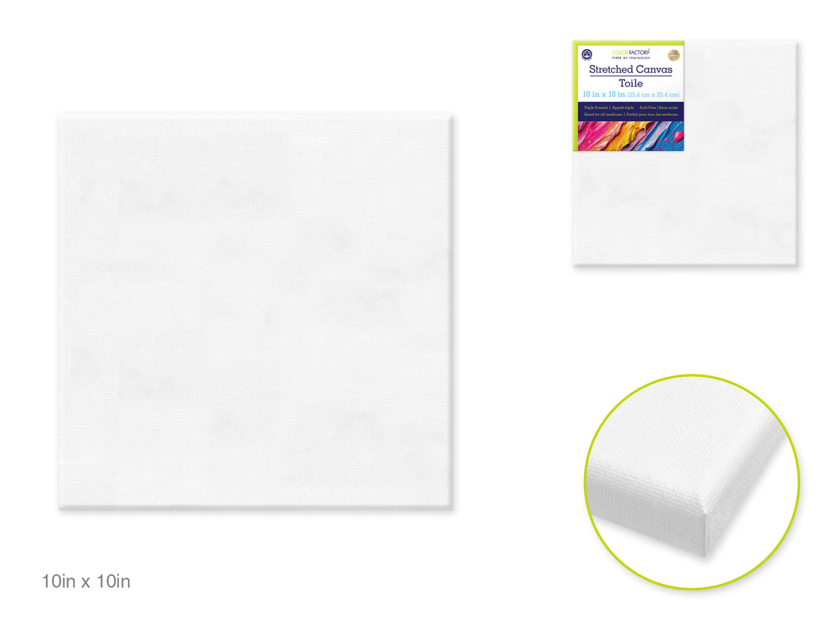 Stretch Artist Canvas Square  10"x10" Primed Back -Stapled