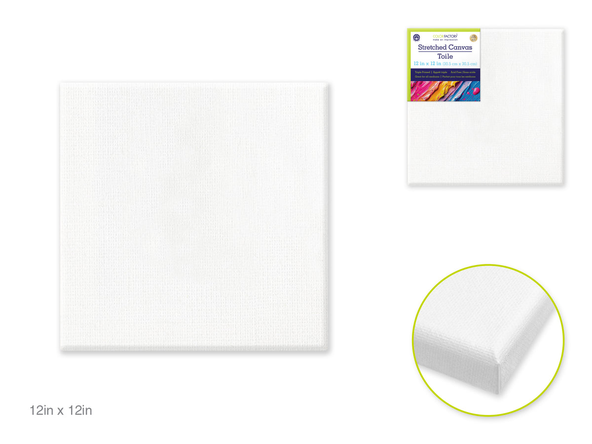 Stretch Artist Canvas Square 12"x12"Primed Back-Stapled