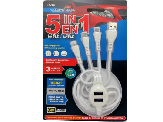USB A - 5-in-1 4Ft White Cable (USB C / Lightning / Micro / 2xUSB A) CM