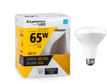 LED Bulb BR30 G5 11W 2700K Luminus