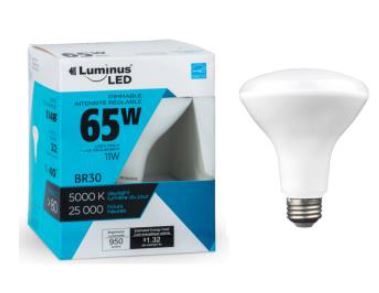 LED Bulb BR30 G5 11W 5000K Luminus