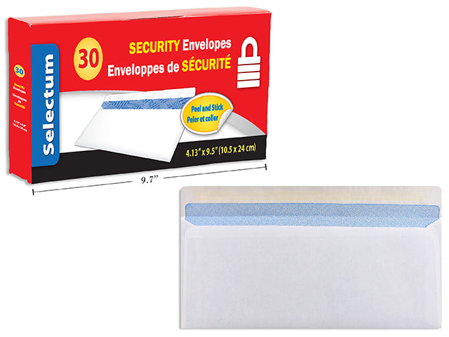 Security Envelope 30pk