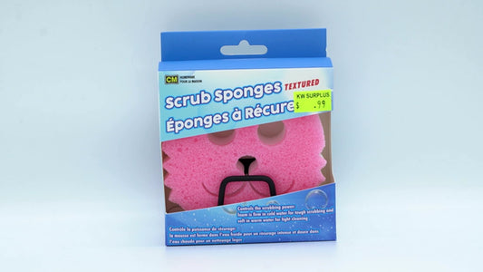 Scrub Sponge w/ Holder Ass't Colours CM Homeware